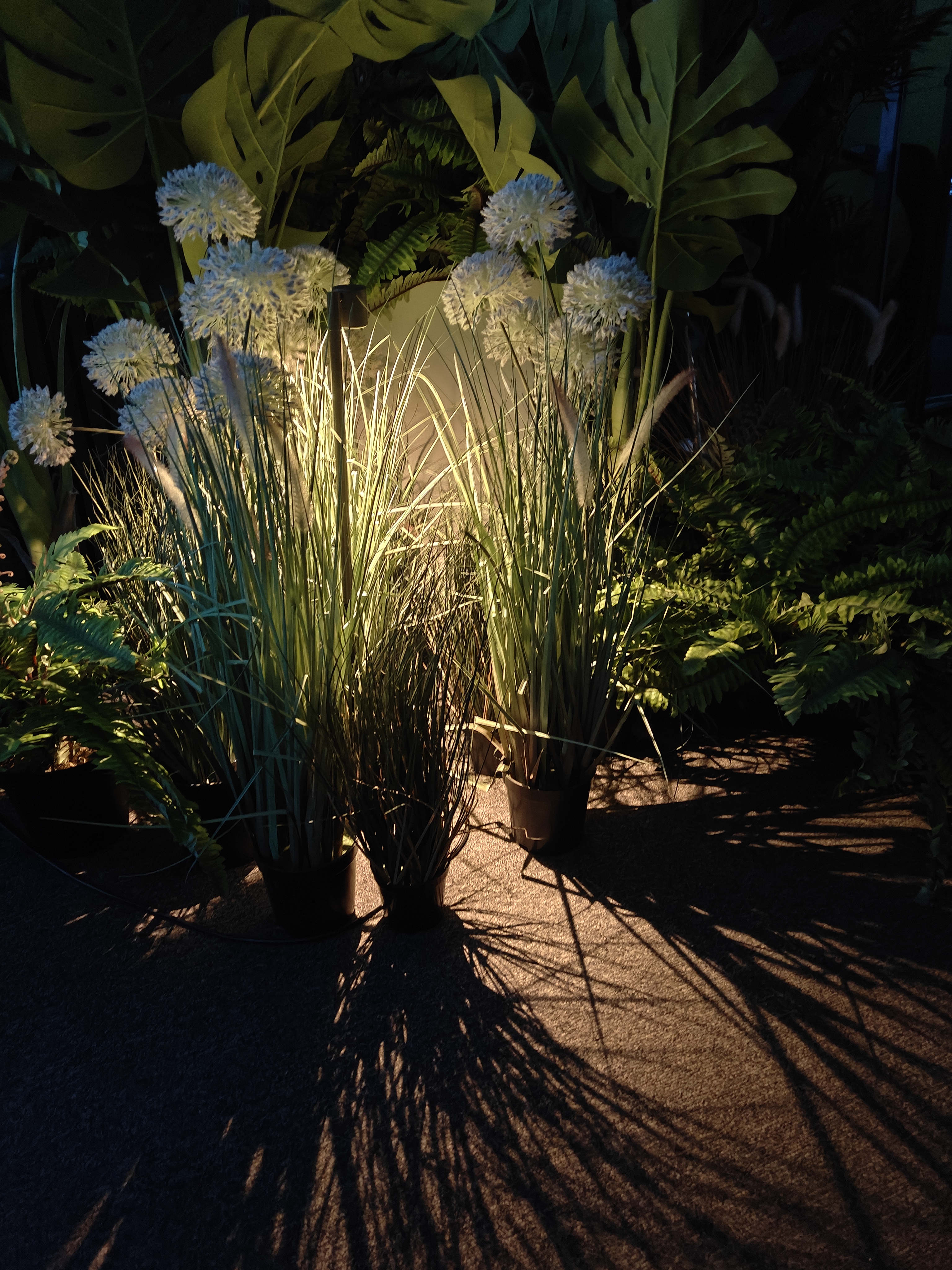 Planting washer light view 2