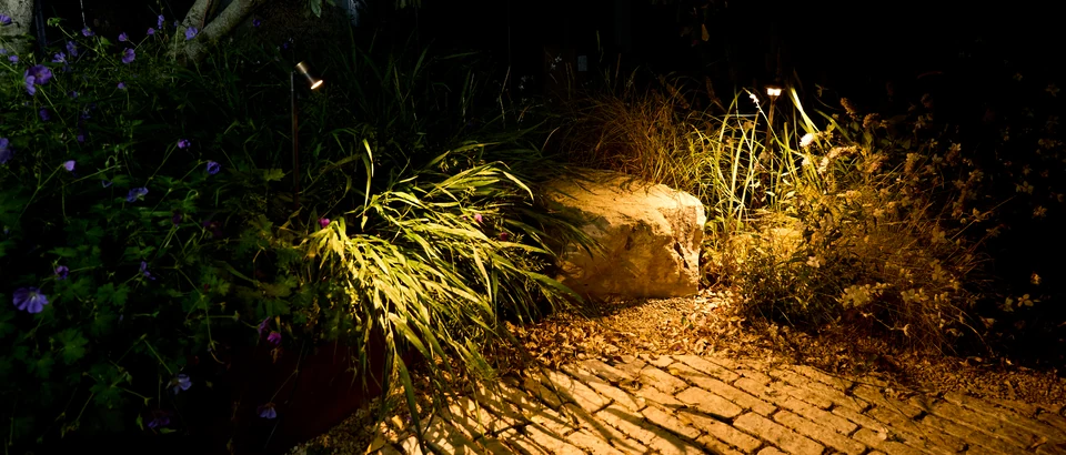 Planting washer light in situ — Paths