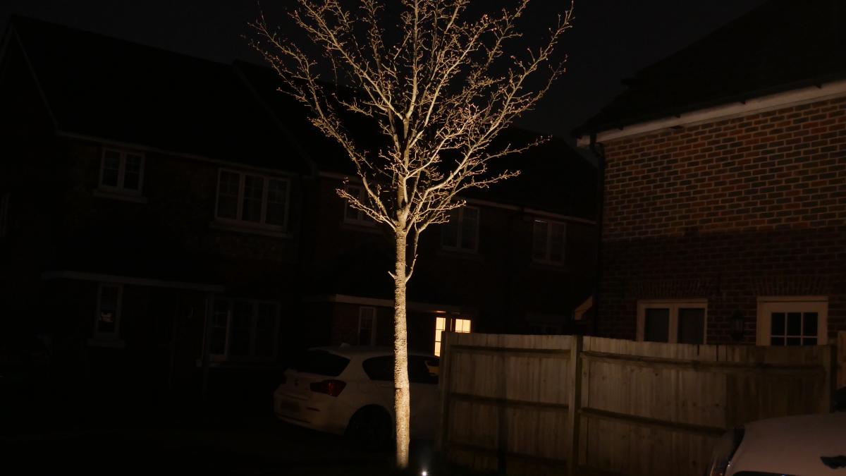 6m tall tree illumianted with careful positioning