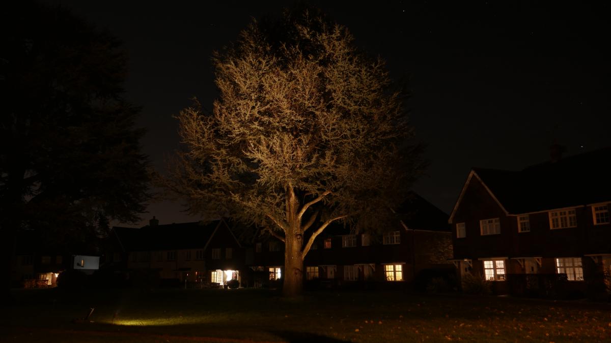 The maxi spike spot set 8m out, micro spike spot at the trunk