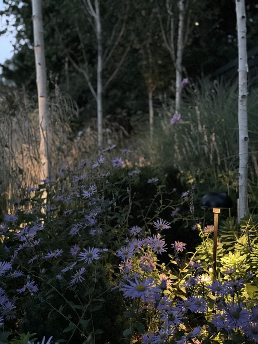 Lighting within lower soft planting