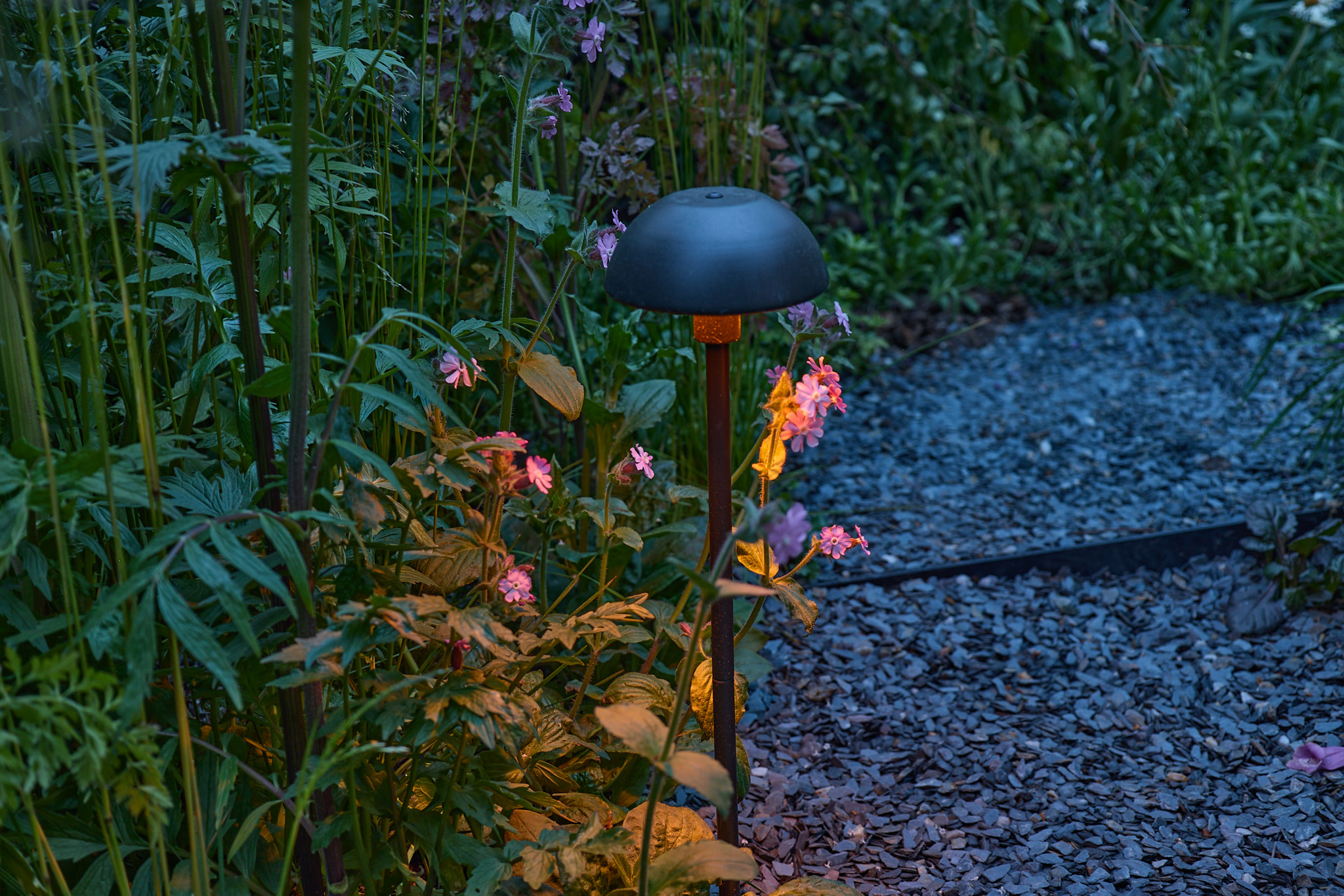 Hudson Lighting micro path marker installed in the Nocturnal Garden, casting a low 1800K amber glow at ground level for safe night-time movement without disturbing bats
